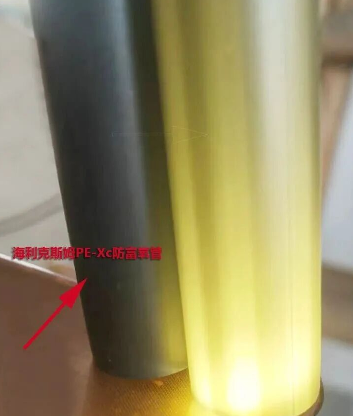 1765783870642953.png 1765783870642953.png